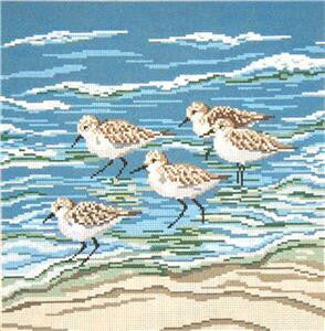 Bird Canvas ~ Four Sanderlings & Beach 18 Mesh handpainted Needlepoint  Canvas by Needle Crossings