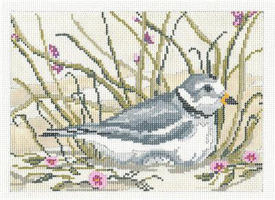 Bird Canvas ~ Three Royal Terns Shore Bird handpainted 18 mesh Needlep –  Needlepoint by Wildflowers