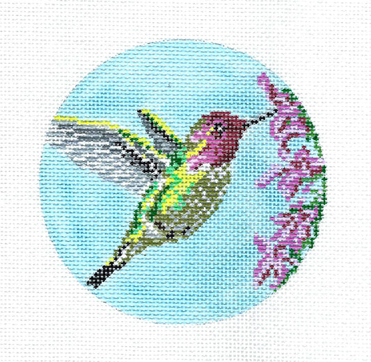 Bird Round ~ Elegant Anna's Hummingbird 4" Round 18 Mesh handpainted Needlepoint Canvas by Needle Crossings